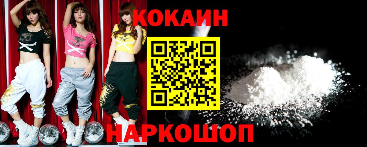 A PVP Камышлов