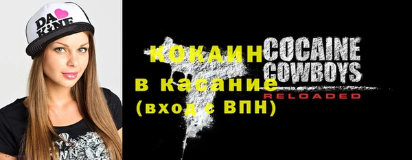 трава Няндома