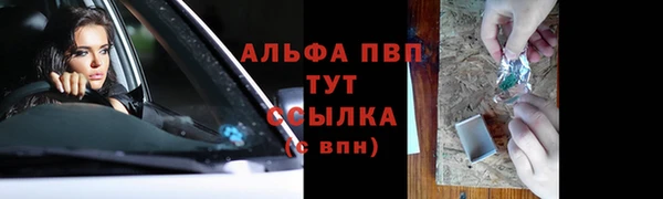 амф Осташков