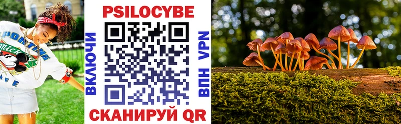 MEGA ссылка  где купить наркоту  Камышлов  Галлюциногенные грибы Magic Shrooms 