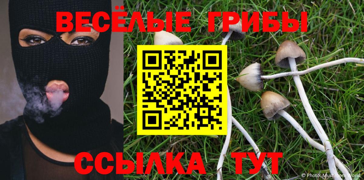 Галлюциногенные грибы Psilocybe  Вход с VPN  Галлюциногенные грибы ЛСД  Камышлов 