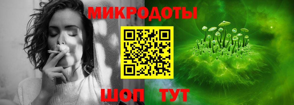 наркота  Камышлов  Псилоцибиновые грибы Psilocybine cubensis 